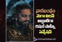 స్క్రీన్పై కనిపించిన ప్రతిసారీ థియేటర్ షేక్ అంటున్న నెటిజన్లు Netizens Hail Rishabh Sawhney as the Standout Performer in Nagabandham