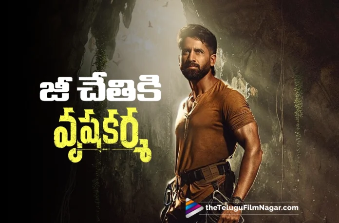 Vrushakarma Non-Theatrical Rights Sold for a Record Price