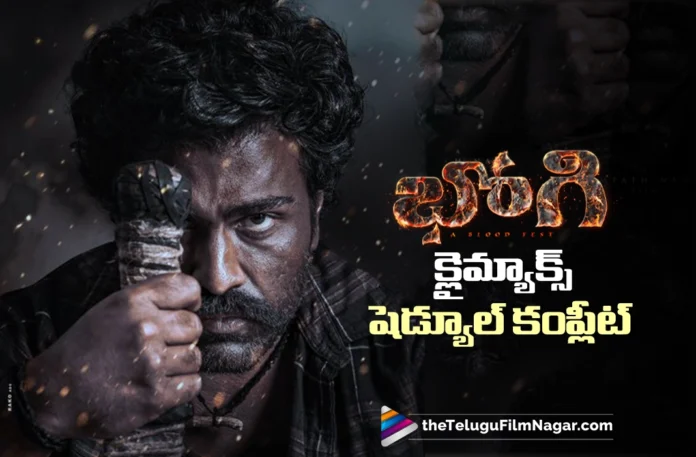 bhogi wraps up its massive 20 day climax schedule bhogi wraps up its massive 20 day climax schedule