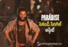 The Paradise Second Single Release Date Revealed