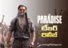 The Paradise Teaser Takes the Hype to the Next Level