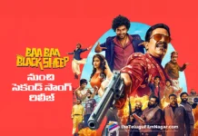 Second Song from Baa Baa Black Sheep Released