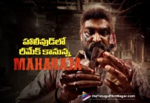 హాలీవుడ్ లోకి మహారాజ .. తొలి తమిళ చిత్రంగా రికార్డు Maharaja Creates a Record as the First Tamil Film to Be Remade in Hollywood