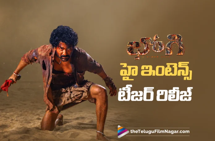 Bhogi High-Intensity Teaser Released