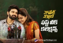 కామ్రేడ్ కళ్యాణ్ ఫస్ట్ వీక్ వరల్డ్ వైడ్ కలెక్షన్స్ Comrade Kalyan First Week Worldwide Collections