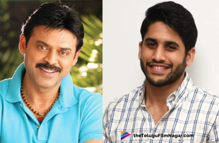Venky Mama Title Poster Released,Telugu Filmnagar,Telugu FilmUpdates,Tollywood Cinema News,2019 Latest Telugu Movie News,Venky Mama Movie Team Surprise For Fans,Team Venky Mama Throws In A Surprise Treat For Fans,Venky Mama Movie Latest Updates,Venky Mama Title Poster Unveiled,Venky Mama Title Poster News