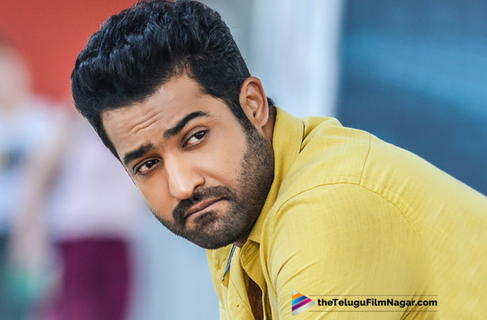 Junior NTR Seals His Next Project,2019 Latest Telugu Film News, Jr NTR and Trivikram New Movie From 2020 Summer, Trivikram New Movie From 2020, Jr NTR and Trivikram To Start Shooting From Summer, Jr NTR locks his director for next project From Summer 2020, Jr NTR and Trivikram Next movie Shooting updates, Jr NTR Latest Movie News, Telugu Film Updates, Telugu Filmnagar, Tollywood Cinema News, Jr NTR upcoming movies latest updates