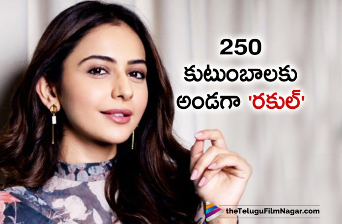 Actress Rakul Preet Takes initiative To Contribute Food To Over 250 Families During Lockdown Period