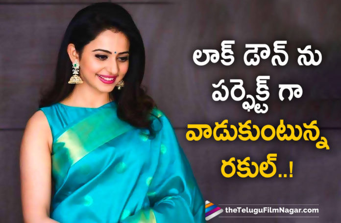 Actress Rakul Preet Singh Makes The Perfect Use Of Her Lockdown Time