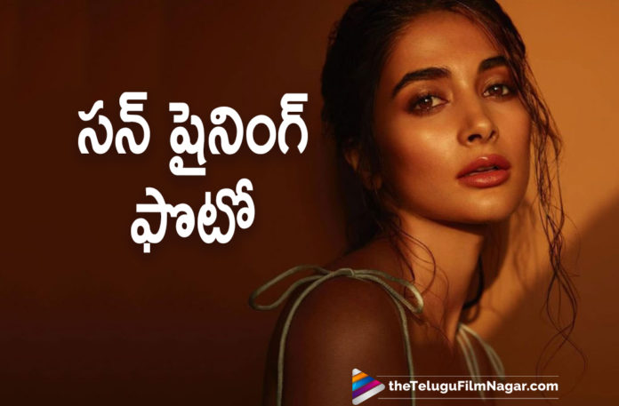 Pooja Hegde Shines In Her Latest Pictures Shared On Instagram,Pooja Hegde,Pooja Hegde Movies,Pooja Hegde Latest News,Pooja Hegde New Movie,Pooja Hegde Latest Movie,Pooja Hegde Upcoming Movie,Pooja Hegde Next Movie,Pooja Hegde News,Pooja Hegde Instagram,Pooja Hegde Instagram Photos,Actress Pooja Hegde,Heroine Pooja Hegde,Pooja Hegde,Pooja Hegde Latest Photo,Pooja Hegde Latest Picture,Pooja Hegde Photo,Pooja Hegde Images,Pooja Hegde Latest Photo Gallery,Pooja Hegde New Movie Updates,Pooja HegdeLatest Movie Updates,Pooja Hegde Photos,Pooja Hegde Pictures,Pooja Hegde Pics,Pooja Hegde Images,Pooja Hegde Latest Gallery,Pooja Hegde New Photos,Pooja HegdeLatest Photos,Telugu Filmnagar,Latest Telugu Movies News,Telugu Film News 2021,Tollywood Movie Updates,Latest Tollywood News,Pooja Hegde Shines In Her Latest Pictures,Pooja Hegde Instagram Photos,Pooja Hegde Mesmerizes In Sun Shadows,Pooja Hegde Photos Latest,Pooja Hegde Latest,Pooja Hegde Photoshoot,Pooja Hegde Latest Photoshoot,Pooja Hegde New Look