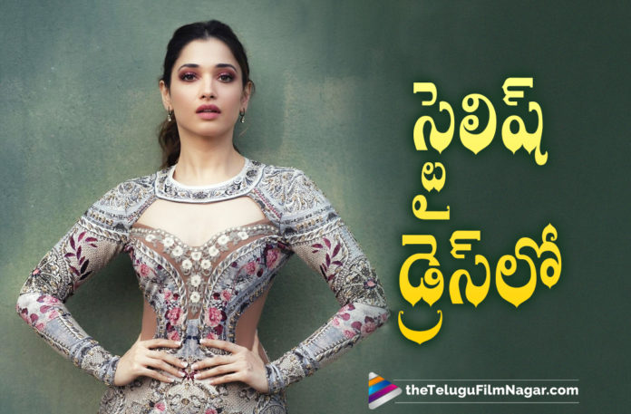 Actress Tamannaah Oozes Beauty In Stylish Outfit In Her Recently Shared Picture On Social Media,Telugu Filmnagar,Tamannaah,Tamannaah Latest Movies,Tamannaah Movie Updates,Tamannaah New Movie,Tamannaah Latest Movie,Tamannaah Upcoming Movies,Tamannaah Next Projects,Tamannaah Upcoming Projects,Tamannaah Movies,Tamannaah Latest News,Tamannaah Latest Film Updates,Tamannaah Latest Movie Updates,Tamannaah New Movie Updates,Tamannaah Latest Updates,Tamannaah Movie Updates,Tamannaah Movie News,Tamannaah Upcoming Movie,Tamannaah Next Movie,Tamannaah Next Movie News,Tamannaah Upcoming Movie Updates,Tamannaah Bhatia Floral Dress,Tamannaah Bhatia,Actress Tamannaah,Tamannaah Stylish Outfit,Tamannaah Latest Outfit,Tamannaah New Outfit,Tamannaah Outfit,Tamannaah Photos,Tamannaah Latest Images,Tamannaah Pictures,Tamannaah Still,Tamannaah New Stills,Tamannaah New Photos,Tamannaah Bhatia Images,Tamannaah Bhatia News,Tamannaah Bhatia Photos,Tamannaah Bhatia Images,Tamannaah Bhatia Instagram,Tamannaah Latest Photo Gallery,Tamannaah Gallery,Tamannaah Latest Stills,Tamannaah Photoshoot,Tamannaah Latest Photoshoot,Tamannaah Outfits,Tamannaah Latest Pics,Tamannaah Latest Pictures,Tamannaah Instagram Photos,Master Chef,Master Chef Telugu,Tamannaah Master Chef,Master Chef Telugu Show,F3,F3 Movie,#Tamannaah