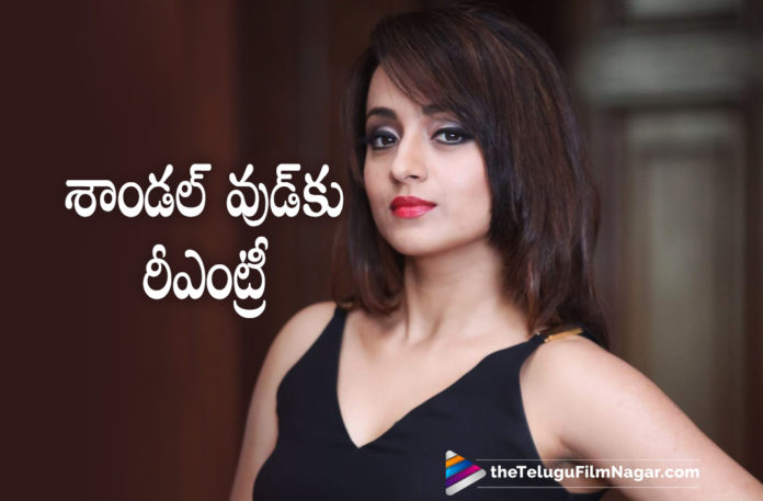 Actress Trisha To Make Her Re Entry Into Sandalwood After Seven Years,Telugu Filmnagar,Latest Telugu Movies News,Telugu Film News 2021,Tollywood Movie Updates,Latest Tollywood News,Trisha,Actress Trisha,Heroine Trisham,Trisha Movies,TrishaMovie,Trisha New Movie,Trisha Latest Movie,Trisha New Movies,Trisha Latest Movies,Trisha New Movie Update,Trisha Latest Movie Update,Trisha Upcoming Movies,Trisha Upcoming Movie,Trisha Latest News,Trisha Updates,Trisha Latest Movie Updates,Trisha Movie Updates,Trisha Movie News,Trisha Upcoming Projects,Trisha New Projects,Trisha Next Film,Trisha Next Movie,Trisha Next Projects,Trisha Upcoming Movie Details,Trisha New Movie Details,Trisha Latest Movie Details,Trisha To Make Her Re Entry Into Sandalwood,Actress Trisha To Make Her Re Entry Into Sandalwood,Actress Trisha Sandalwood Re Entry,Trisha Sandalwood Re Entry,Trisha Re Entry Into Sandalwood,Actress Trisha Re Entry Into Sandalwood,Trisha To Enter Sandalwood,Trisha Makes Her Re Entry Into Sandalwood,Trisha Kannada Movies,Trisha Kannada Movie,Trisha Kannada Movie