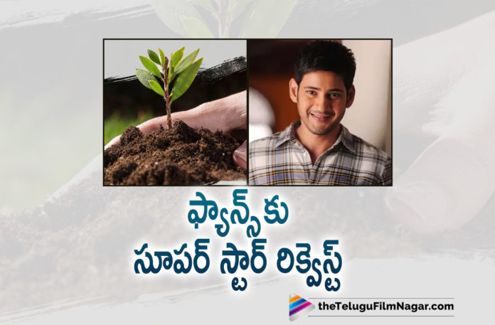 Super Star Mahesh Babu Urges Everyone To Participate In Green India Challenge For A Clean and Safe Environment,Telugu Filmnagar,Latest Telugu Movie News,Telugu Film News 2021,Tollywood Movie Updates,Latest Tollywood News,Mahesh Babu,Mahesh Babu Movies,Mahesh Babu New Movie,Mahesh Babu Latest Movie,Mahesh Babu Latest News,Mahesh Babu Latest Film Updates,Mahesh Babu New Movie Update,Mahesh Babu Latest Movie Update,Mahesh Babu Updates,Mahesh Babu Birthday,Mahesh Babu Birthday Updates,Mahesh Babu Fans,Mahesh Babu Urges Everyone To Participate In Green India Challenge,Green India Challenge,Mahesh Babu Green India Challenge,Mahesh Babu Makes Special Appeal To Fans For His Birthday,Mahesh Babu Urges Fans To Participate In Green India Challenge,Mahesh Babu Latest Green Initiative,Mahesh Babu Requests Fans To Plant Saplings,Mahesh Babu’s Special Request For Fans,Mahesh Babu Sarkaru Vaari Paata Teaser,Sarkaru Vaari Paata Teaser,Mahesh Babu Sarkaru Vaari Paata,Sarkaru Vaari Paata,Sarkaru Vaari Paata Movie,Sarkaru Vaari Paata Movie Updates,Mahesh Babu Call Fans To Join Green India Challenge On His Birthday,Superstar Mahesh Babu,Mahesh Babu Green India Challenge,Mahesh Babu Accepts Green India Challenge,Superstar Mahesh Babu Accepts Green India Challenge,Mahesh Babu Green India,Mahesh Babu,Mahesh Babu Birthday Celebrations,Mahesh Babu Request For Fans,#MaheshBabu