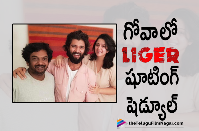 Liger Movie Team Heads To Goa For Movie Shooting Schedule,Liger Movie Latest Shooting Update,Liger Movie Shooting Update,Liger Movie Movie Shooting Schedule,Liger Movie Goa Shooting Schedule,Liger Movie Goa Schedule,Ananya Panday,Ananya Panday Movie,Ananya Panday Liger,Vijay Deverakonda And Ananya Panday Movie,Vijay Deverakonda Shifting Base To Goa,Vijay Deverakonda Liger Goes To Goa,Liger New Schedule To Start In Goa,Liger New Schedule,Liger New Schedule In Goa,Vijay Deverakonda Liger Goa Schedule,Vijay Deverakonda Liger Movie,Vijay Deverakonda Liger,Liger Movie Update,Liger Latest Updates,Vijay Deverakonda Liger Movie Latest Shooting Update,Vijay Deverakonda Liger Movie Shooting Latest Update,Vijay Deverakonda Liger Shooting Update,Liger Shooting Update,Liger Shooting Latest Update,Telugu Filmnagar,Latest Telugu Movies 2021,Liger,Liger Movie,Liger Telugu Movie,Liger Updates,Liger Movie Updates,Liger Telugu Movie Updates,Liger Movie Latest Updates,Liger Movie Latest News,Liger Telugu Movie Shooting,Liger Shoot,Liger Movie Shooting,Liger Shooting Update,Vijay Deverakonda's Liger,Vijay Deverakonda,Actor Vijay Deverakonda,Hero Vijay Deverakonda,Vijay Deverakonda Latest News,Vijay Deverakonda New Movie,Vijay Deverakonda Latest Movie,Vijay Deverakonda Liger Movie Shooting,Vijay Deverakonda Movies,#Liger