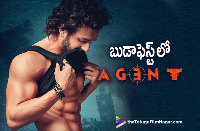 Agent Movie Team Heads To Budapest For Shooting Work,Agent Leaving For Budapest,Agent Shooting Begins,Agent New Poster,Agent Movie New Poster,AGENT Shoot Begins,Akhil Akkineni AGENT Shoot Begins,Akhil New Movie Agent,Agent,Akhil Akkineni,Akhil Akkineni Latest Movies,Surender Reddy,Telugu Filmnagar,Latest Telugu Movies 2021,Latest 2021 Telugu Movie Updates,Tollywood Movie Updates,Latest Tollywood News,AGENT,Agent Movie,Agent Film,Agent Telugu Movie,Agent Movie Update,Agent Movie News,Akhil Agent,Agent Akhil,Akhil New Movie,Akhil Latest Movie,Agent Look,Akhil,Akhil Akkineni Agent,Surender Reddy Latest Movie,Agent Movie Akhil,Agent Movie Latest Upates,Agent Movie Latest News,Agent Movie Shooting,Agent Movie Shooting Updates,Agent Movie Shoot,Agent Movie Latest,Agent Movie Shoot,Agent Shooting Work Begins,Akhil Agent Shooting Work Begins,Akhil Agent Shooting Begins,Akhil New Movie Shoot,Akhil Agent Poster,Agent Shooting,Akhil Agent Movie Latest Shooting Update,Akhil Agent Latest Shooting Update,Akhil Agent Movie Shooting Update,Akhil Agent Shooting Update,Agent Movie Team Heads To Budapest,Akhil Akkineni New Movie Update,Akhil Akkineni Latest Movie Update,Akhil Akkineni Agent Shooting,Agent Team Heads To Budapest For Shooting Work,Agent Latest Update,Agent Updates,#AGENT,#AkhilAkkineni
