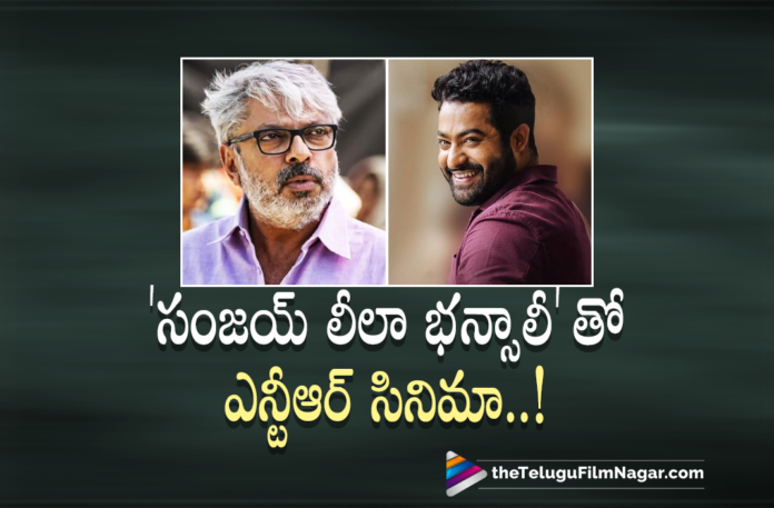Jr NTR Gearing Up For A Movie With Renowned Bollywood Director,Jr NTR And Sanjay Leela Bhansali,Jr NTR And Sanjay Leela Bhansali Movie Latest Update,Jr NTR Next Movie,Latest Telugu Movie Updates 2021,Telugu Filmnagar,Latest Telugu Movies 2021,Jr NTR And Sanjay Leela Bhansali Movie Update,Jr NTR Sanjay Leela Bhansali Movie,Jr NTR Next Movie News,Jr NTR,Sanjay Leela Bhansali,Jr NTR Latest Movie,Jr NTR Movies,NTR,Jr NTR New Movie,Jr NTR Koratala Siva New Movie,NTR Movies,NTR New Movie,Latest Telugu Movie Updates 2021,Latest Telugu Movies 2021,Telugu Movies,NTR RRR Movie,NTR RRR Movie,RRR NTR,Jr NTR Movie Updates,Jr NTR And Sanjay Leela Bhansali Movie,Jr NTR And Sanjay Leela Bhansali Movie Latest Updates,Jr NTR And Sanjay Leela Bhansali Movie Updates,Jr NTR And Sanjay Leela Bhansali Film Updates,Jr NTR And Sanjay Leela Bhansali Movie Shooting,Jr NTR Next Movie Update,NTR30 Movie,NTR30 Movie Updates,RRR,RRR Movie,Jr NTR RRR,Jr NTR RRR Movie,Jr NTR And Sanjay Leela Bhansali Upcoming Movie,Bollywood Director Sanjay Leela Bhansali,Director Sanjay Leela Bhansali,Sanjay Leela Bhansali Approaches Junior NTR,Junior NTR To Work With Sanjay Leela Bhansali,Sanjay Leela Bhansali Movies,Sanjay Leela Bhansali New Movie,Sanjay Leela Bhansali NTR Movie,Jr NTR To Act In Sanjay Leela Bhansali Direction,Sanjay Leela Bhansali Movie With Jr NTR,Jr NTR To Work With Sanjay Leela Bhansali,Jr NTR To Act In Sanjay Leela Bhansali Direction,Jr NTR Bollywood Entry With Director Sanjay Leela Bhansali