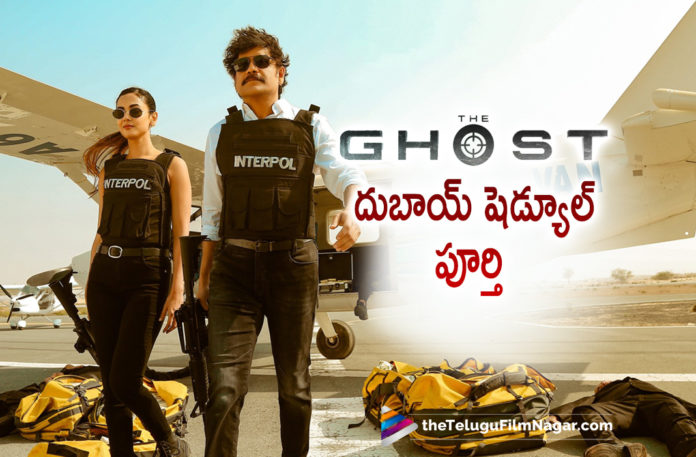 Nagarjuna’s The Ghost Movie Latest Update,Telugu Filmnagar,Latest Telugu Movies 2022,Telugu Film News 2022,Tollywood Movie Updates,Latest Tollywood Updates,Latest Film Updates,Tollywood Celebrity News, Akkineni Nagarjuna,Akkineni Nagarjuna Movie Updates,Akkineni Nagarjuna Latest News,Akkineni Nagarjuna Upcoming Movies,Nagarjuna New Movie,Nagarjuna latest Updates,Praveen Sattaru,Director Praveen Sattaru The Gost Movie, Director Praveen Sattaru The Gost Movie Updates,Sonal Chauhan,Actress Sonal Chauhan,Sonal Chauhan In The Gost Movie,Sonal Chauhan and Nagarjuna In The Gost Movie,Nagarjuna latest updates,#nargarjuna The Ghost Movie,The Ghost Movie Shooting Updates,The Ghost Movie Shooting wrapped Up,Nagarjuna has wrapped up a long and important schedule for his upcoming film The Ghost,North Star Entertainment Banners, The Ghost Movie Shooting in Dubai Wrapped up,The Gost Movie In Dubai Completed,Nargarjuna The Ghost Movie Wrapped Up,The Ghost Movie Team Shooting A Song in Dubai,The Ghost Movie Team Shooting A Song in boat, Director Praveen Sattaru shooting a song in a Boat,The Ghost Song Update,The Ghost Movie Shooting,The Ghost Movie Shooting in Dubai,The Ghost Movie Shooting Dubai Updates,The Ghost Movie,The Ghost Movie Updates, The Ghost Movie latest Updates,The Ghost Movie Shoot Updates,The Ghost Movie shoot starts in Dubai,Nargarjuna Bike Ride in Desert Shoot,The Ghost Movie Shooting In Progress,The Ghost Movie Shooting Update From Dubai, Nagarjuna shooting a Song in Dubai,King Nargrjuna The Ghost Movie Wrapped up,#TheGHOST,#Nagarjuna