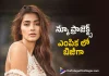 Pooja Hegde Is Busy With Selecting New Project,Telugu Filmnagar,Tollywood Latest,Tollywood Movie Updates,Tollywood Upcoming Movies,Telugu Film News 2022,Pooja Hegde,Actress Pooja Hegde,Pooja Hegde Latest Updates,Pooja Hegde Upcoming Movies,Pooja Hegde New Movie Updates,Pooja Hegde latest News,Pooja Hegde New Project Updates,Pooja Hegde Busy in Selecting Upcoming Projects,Pooja Hegde Latest Projects Updates,Pooja Hegde New Movies,Pooja Hegde Project K Movie Updates,Pooja Hegde in Project K Movie Latest Updates,Pooja Hegde Upcoming Projects