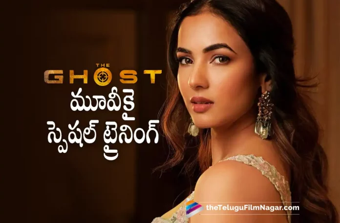 Sonal Chauhan Special Training for The Ghost Movie, Nagarjuna And Sonal Chauhan's The Ghost, The Ghost Movie, Sonal Chauhan Special Training, Akkineni Nagarjuna's The Ghost, Praveen Sattaru's The Ghost, Nagarjuna's The Ghost, Nagarjuna's Latest Movie The Ghost, Nagarjuna's Upcoming Telugu Movie The Ghost, Sonal Chauhan, Akkineni Nagarjuna, The Ghost Update, The Ghost Telugu Movie Latest Update, The Ghost Telugu Movie, The Ghost, The Ghost Movie Latest News And Updates, The Ghost Movie 2022, The Ghost Nagarjuna Movie, Telugu Filmnagar, Telugu Film News 2022, Tollywood Latest, Tollywood Movie Updates, Latest Telugu Movies News