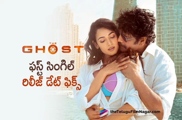 The Ghost First Single Release Date fixed, The Ghost Single Release Date fixed, The Ghost First Single, NAG's The Ghost movie, The Ghost makers conform the release date Of The Movie, Nagarjuna's new film The Ghost, The Ghost Movie to hit theaters on 5 October, Nagarjuna And Sonal Chauhan's The Ghost, The Ghost Movie, Akkineni Nagarjuna's The Ghost, Praveen Sattaru's The Ghost, Nagarjuna's The Ghost, Nagarjuna's Latest Movie The Ghost, Nagarjuna's Upcoming Telugu Movie The Ghost, Sonal Chauhan, Akkineni Nagarjuna, The Ghost Update, The Ghost Telugu Movie Latest Update, The Ghost Telugu Movie, The Ghost, The Ghost Movie Latest News And Updates, The Ghost Movie 2022, The Ghost Nagarjuna Movie, Telugu Filmnagar, Telugu Film News 2022, Tollywood Latest, Tollywood Movie Updates, Latest Telugu Movies News