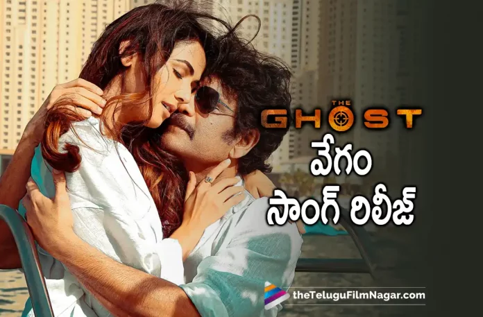 Vegam Song From The Ghost Movie Out Now, The Ghost Movie Vegam Song Out Now, Vegam Song Out Now, The Ghost Movie Vegam Song, Vegam Song, NAG's The Ghost movie, Nagarjuna's new film The Ghost, The Ghost Movie to hit theaters on 5 October, Nagarjuna And Sonal Chauhan's The Ghost, The Ghost Movie, Akkineni Nagarjuna's The Ghost, Praveen Sattaru's The Ghost, Nagarjuna's The Ghost, Nagarjuna's Latest Movie The Ghost, Nagarjuna's Upcoming Telugu Movie The Ghost, Sonal Chauhan, Akkineni Nagarjuna, The Ghost Update, The Ghost Telugu Movie Latest Update, The Ghost, The Ghost Movie Latest News And Updates, The Ghost Movie 2022, The Ghost Nagarjuna Movie, Telugu Filmnagar, Telugu Film News 2022, Tollywood Latest, Tollywood Movie Updates, Latest Telugu Movies News