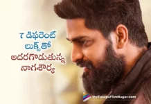 naga shourya seven different looks in phalana abbayi phalana ammayi