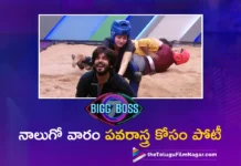 bigg boss telugu season 7 day 24 highlights
