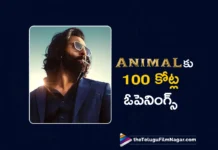 animal first day collections