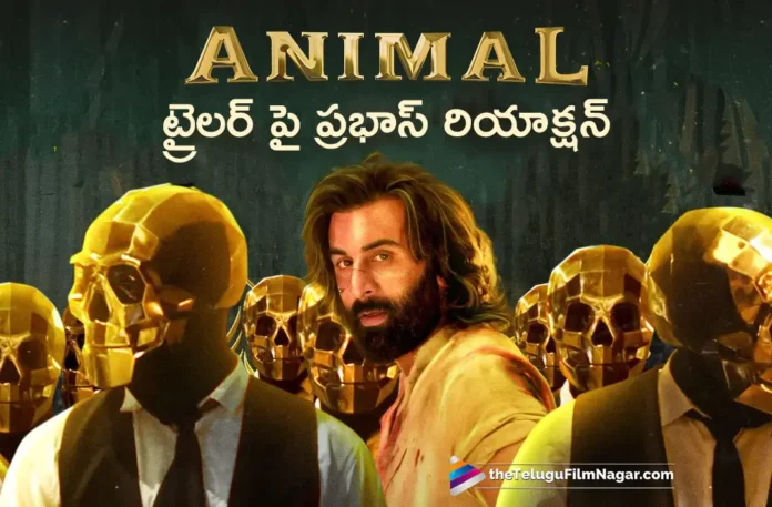 prabhas praises on animal movie trailer