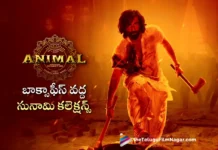 animal movie 3 days world wide collections