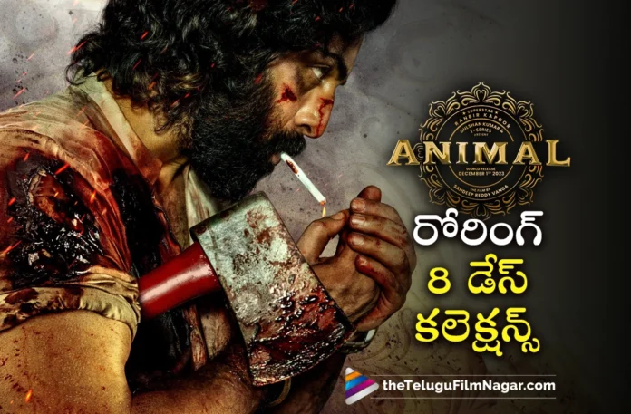 animal movie 8 days collections