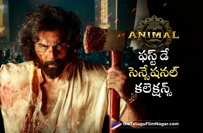 animal movie first day collections
