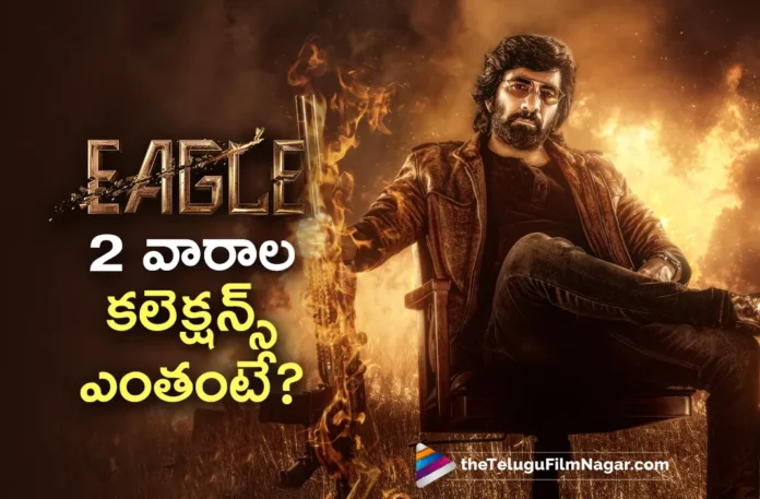 Ravi Teja's Eagle Collects Over 51.4 Cr Gross by the End of 2nd Weekend